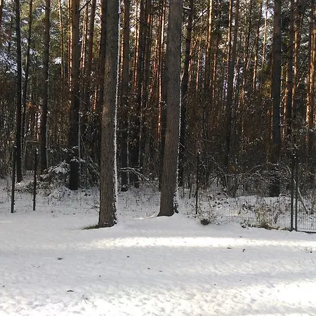 Silent Place